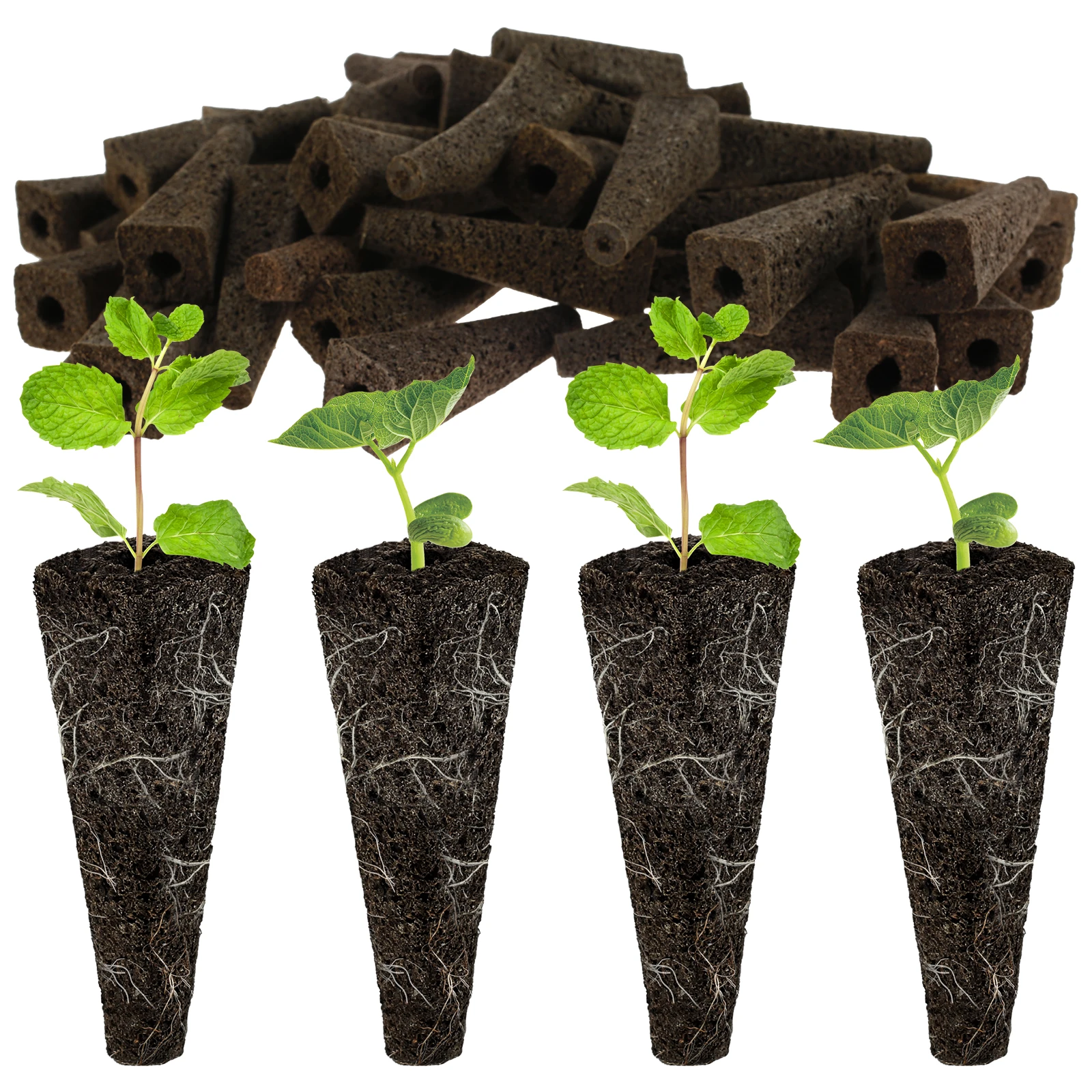 50 бр., сменяеми гъба за отглеждане на корени, Мъничета за кваса на разсад, Засаждане на семена в гидропонный градина